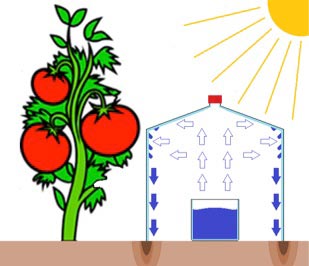 Solar Irrigation
